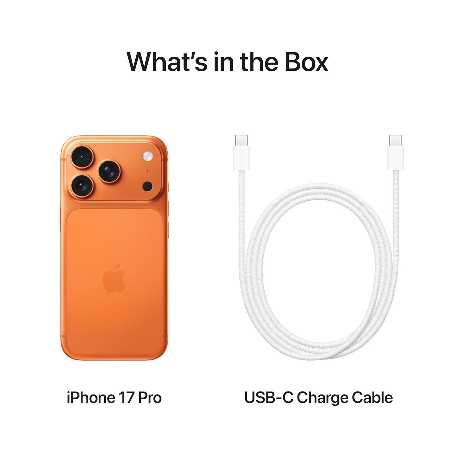iPhone 17 Pro 1 TB: 15.93 cm (6.3″) Display with Promotion up to 120Hz, A19 Pro Chip, Breakthrough Battery Life, Pro Fusion Camera System with Center Stage Front Camera; Cosmic Orange